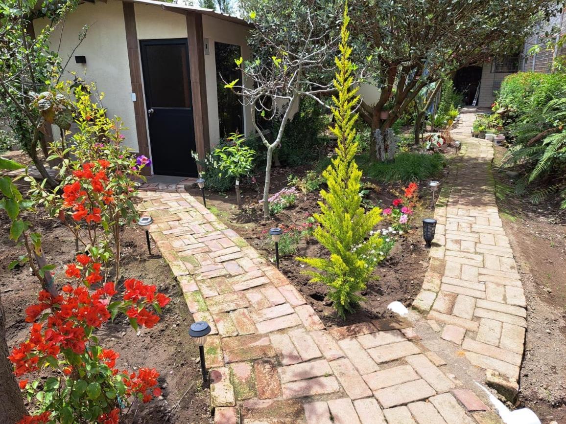 ホテル Jardines アンバート エクステリア 写真